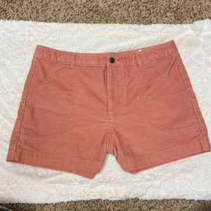 Patagonia Shorts New Without Tags Size 12